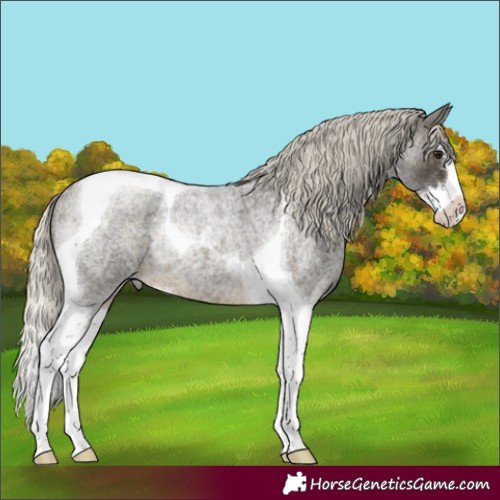 Horse Color:Silver Buckskin Roan Splash Tobiano Rabicano 