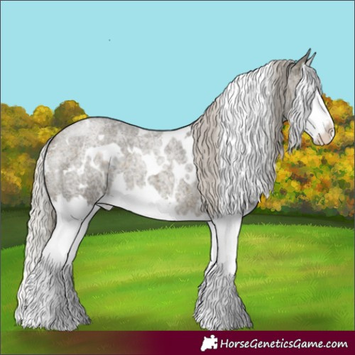 Horse Color:White Spotted Silver Buckskin Roan Splash 