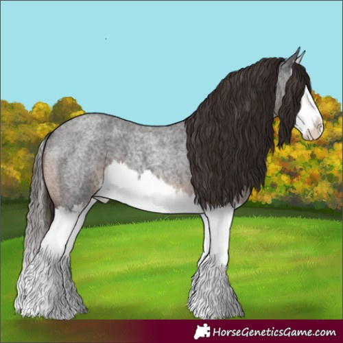 Horse Color:Liver Red Roan Splash 