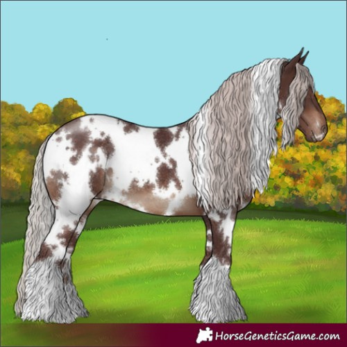 Horse Color:White Spotted Chocolate Silver Brown