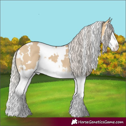 Horse Color:White Spotted Silver Buckskin Dun Splash