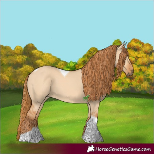 Horse Color:Red Dun Tobiano
