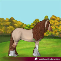 Horse Color:Red Dun Tobiano