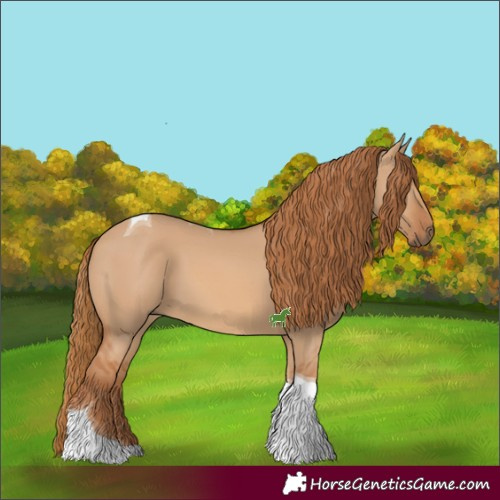 Horse Color:Red Dun Tobiano 