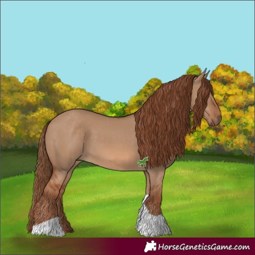 Horse Color:Red Dun Tobiano