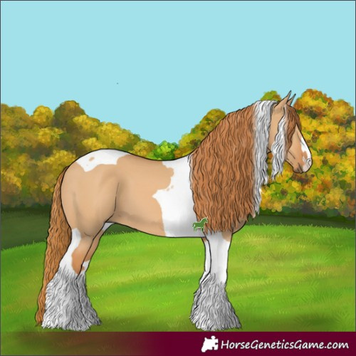 Horse Color:Red Dun Tobiano