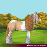 Horse Color:Red Dun Tobiano