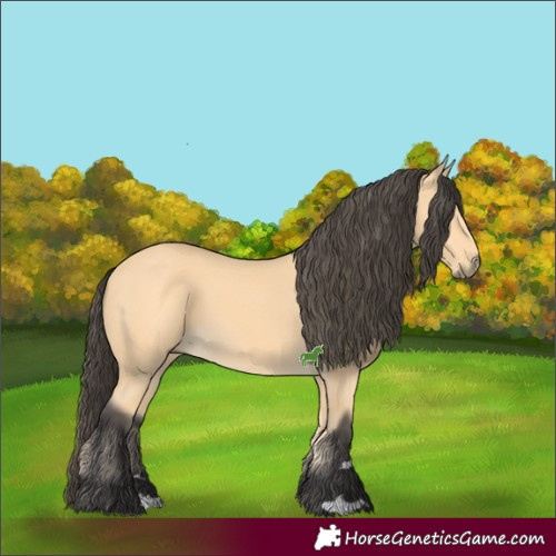 Horse Color:Buckskin 