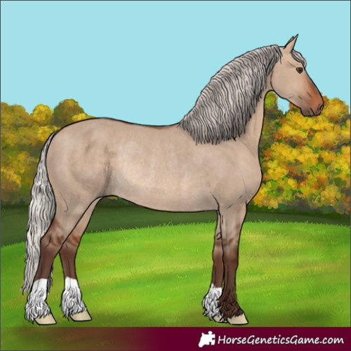 Horse Color:Silver Brown Dun Rabicano 