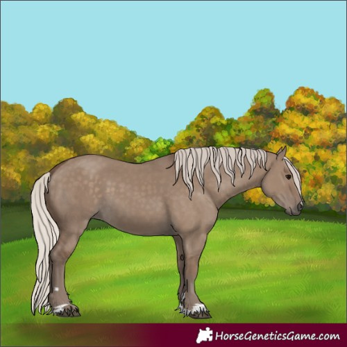 Horse Color:Silver Grullo
