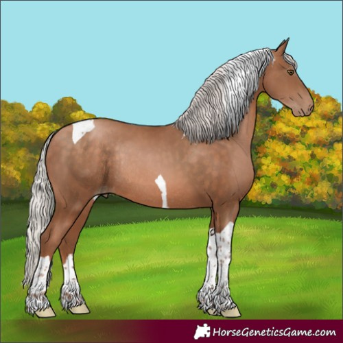 Horse Color:Silver Brown Pearl Tobiano Rabicano 