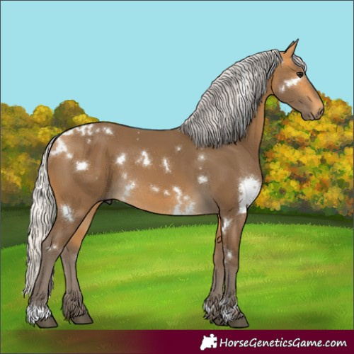 Horse Color:White Spotted Silver Buckskin 