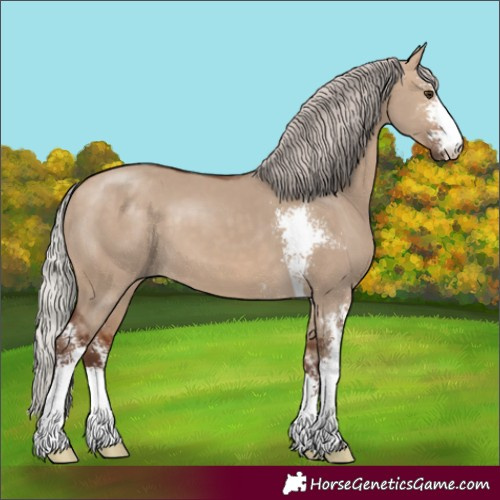 Horse Color:Silver Bay Dun Sabino 