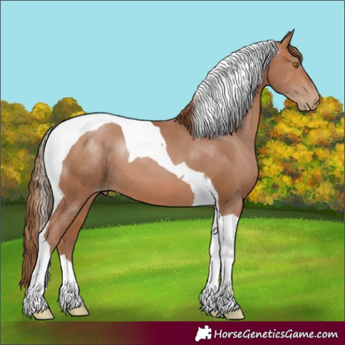 Horse Color:Brown Pearl Tobiano 