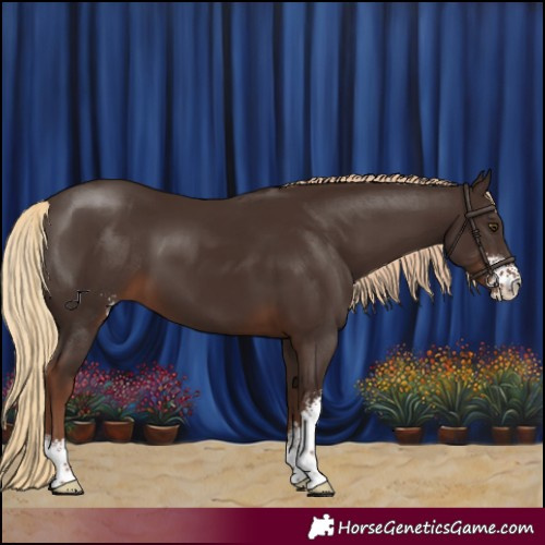 Horse Color:Liver Chestnut Sabino 
