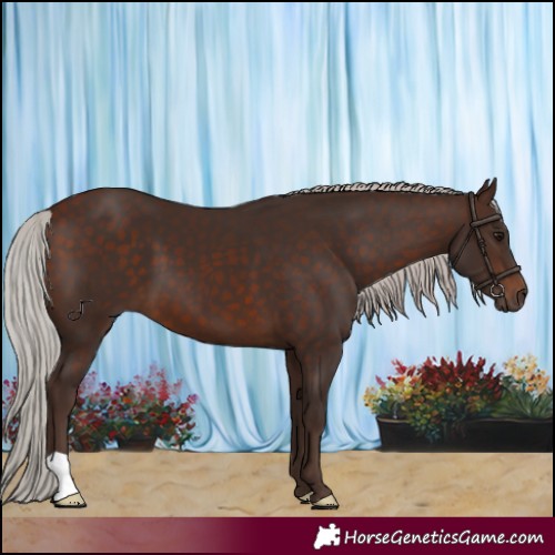 Horse Color:Silver Brown 