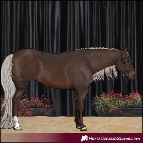 Horse Color:Silver Brown 