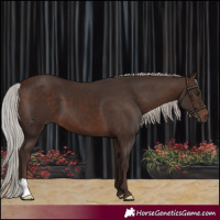 Horse Color:Silver Brown 