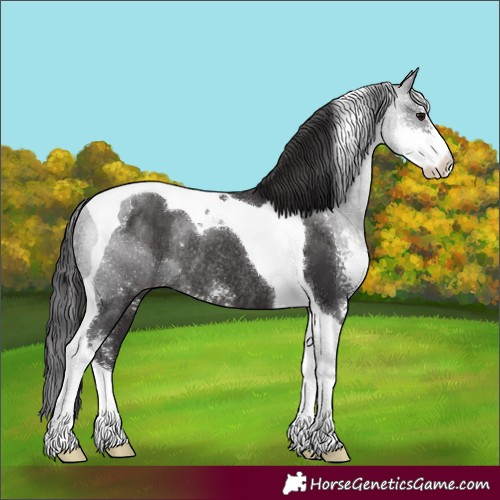 Horse Color:Smoky Black Sabino Tobiano Rabicano 