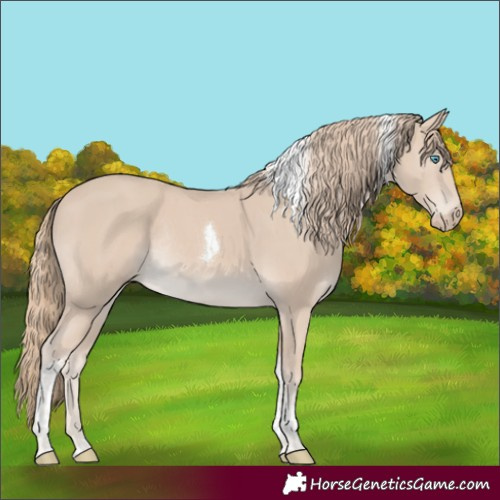 Horse Color:Smoky Creme Tobiano Rabicano