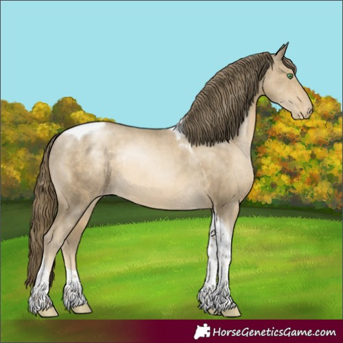 Horse Color:Smoky Black Pearl Tobiano Appaloosa Rabicano 