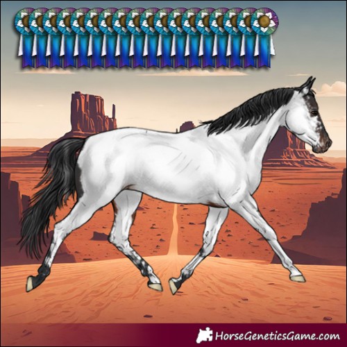 Horse Color:Brown Near Fewspot Rabicano 
