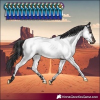 Horse Color:Brown Near Fewspot Rabicano 