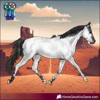 Horse Color:Brown Appaloosa Rabicano 