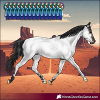 Horse Color:Brown Near Fewspot Rabicano