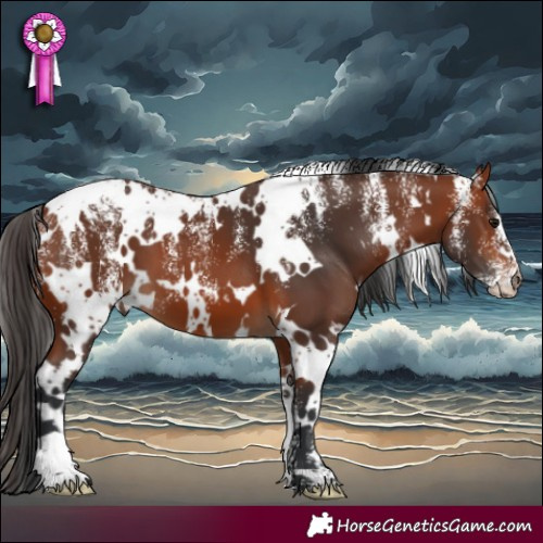 Horse Color:Powder White White Spotted Bay 