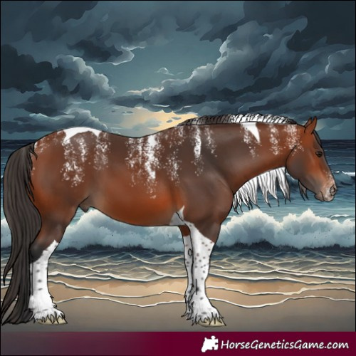 Horse Color:Powder White Bay Tobiano 