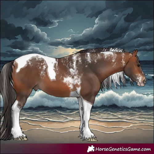 Horse Color:Powder White Bay Tobiano 