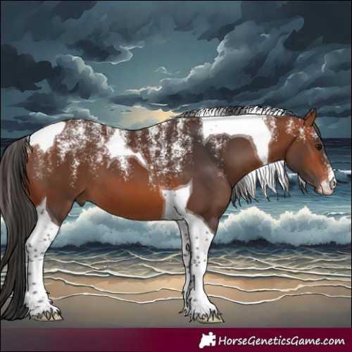 Horse Color:Powder White Bay Tobiano