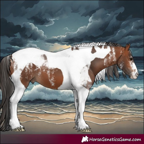 Horse Color:Powder White Bay Tobiano 