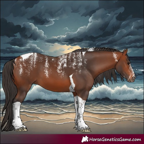 Horse Color:Powder White Bay Tobiano