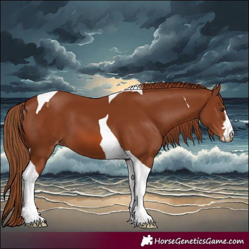 Horse Color:Chestnut Tobiano Varnish 