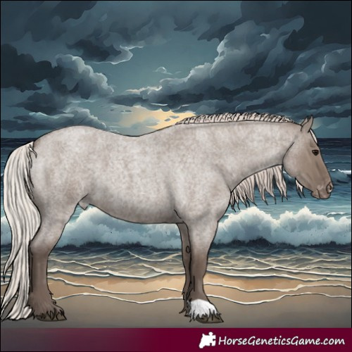 Horse Color:Silver Grullo Roan Appaloosa