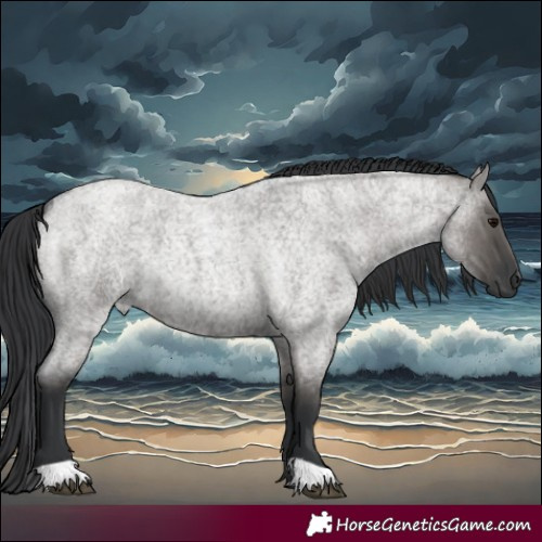 Horse Color:Grullo Roan