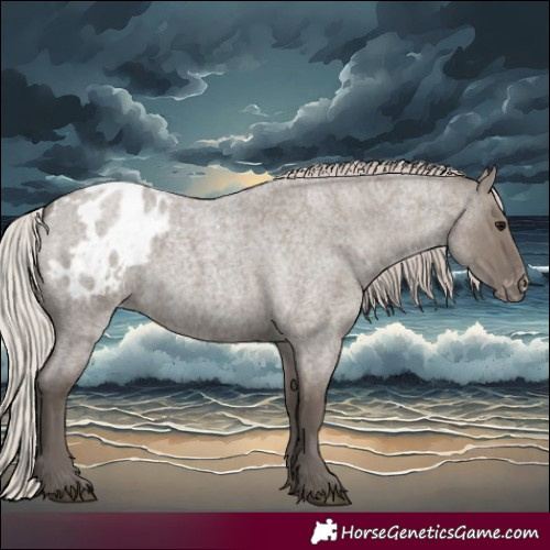 Horse Color:Silver Grullo Roan Blanket 