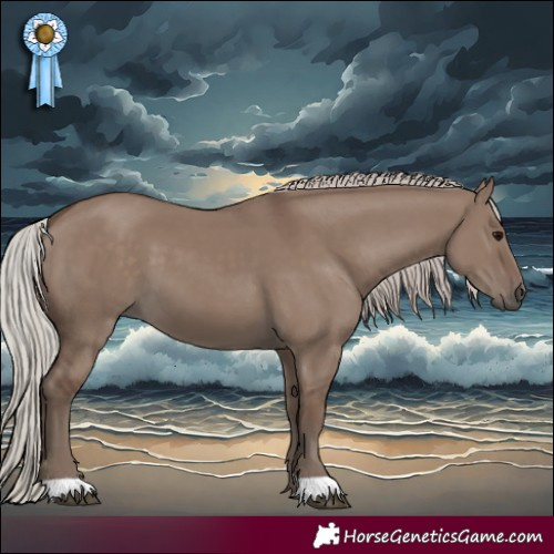 Horse Color:Silver Grullo 
