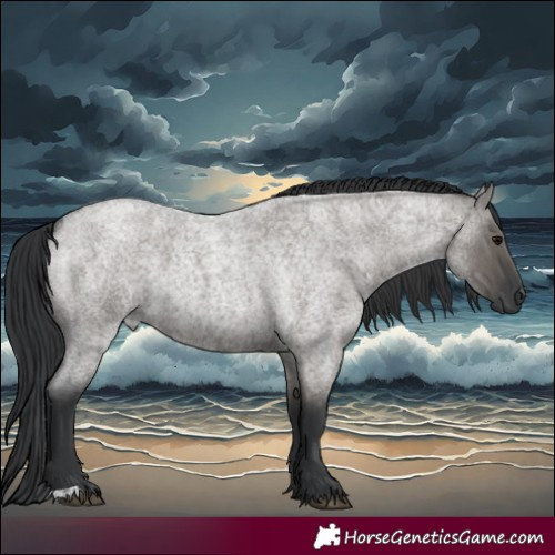 Horse Color:Grullo Roan 