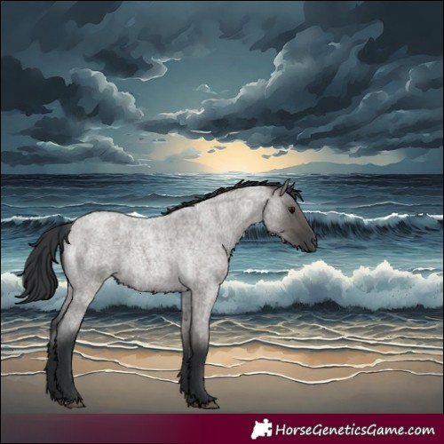 Horse Color:Grullo Roan