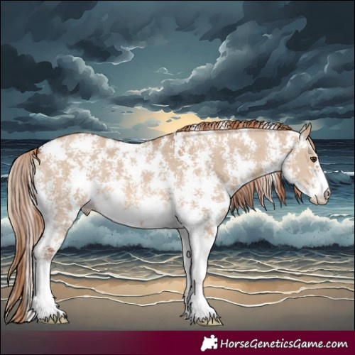Horse Color:Red Dun Sabino 