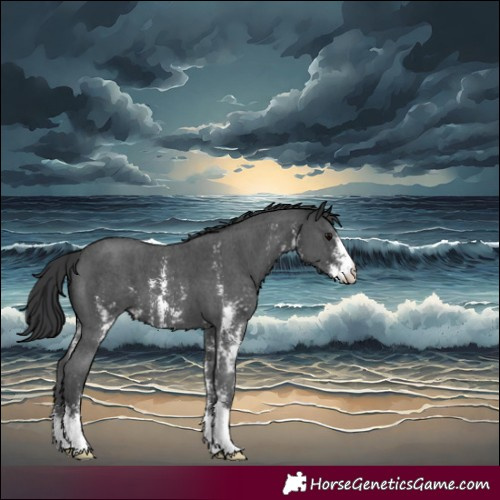 Horse Color:Black Sabino