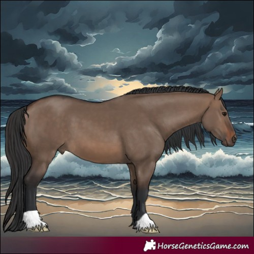 Horse Color:Brown Dun 
