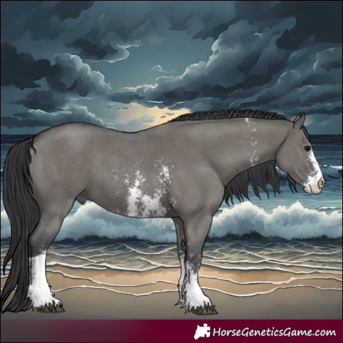 Horse Color:Grullo Sabino