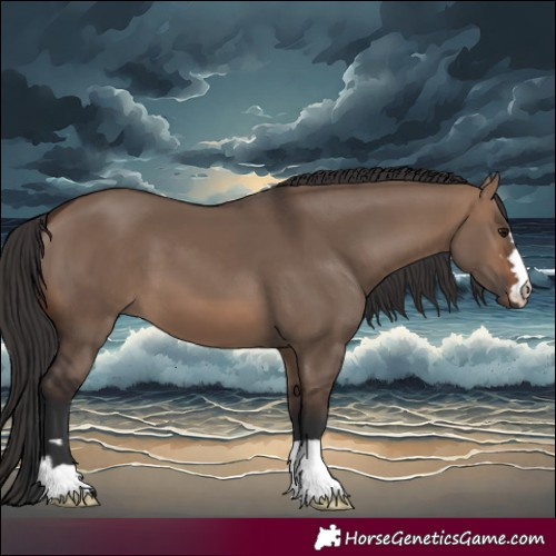 Horse Color:Brown Dun 