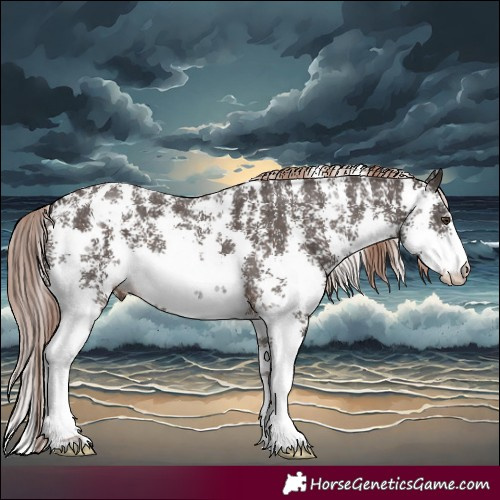 Horse Color:Liver Chestnut Sabino 