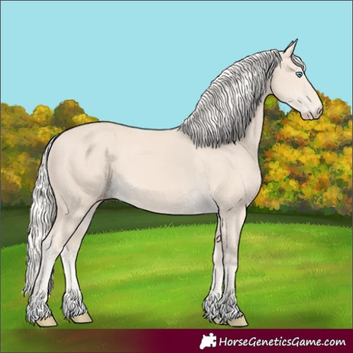 Horse Color:Cremello Tobiano 