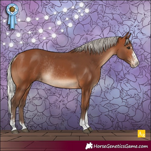 Horse Color:Silver Brown Sabino Appaloosa Rabicano 